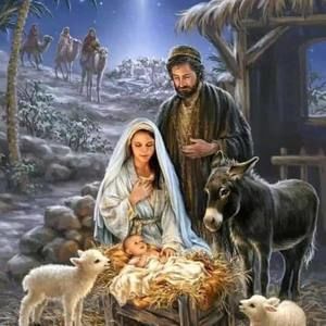 Meet your Posher, Yeny marlen